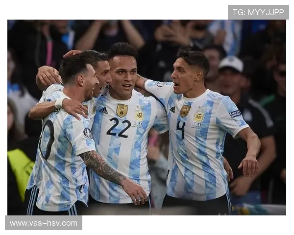 南美足球体系构成 南美足球体系构成